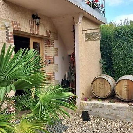 La Maison Des Vignes Charentay エクステリア 写真