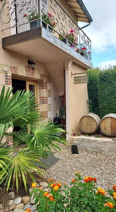 La Maison Des Vignes Charentay エクステリア 写真