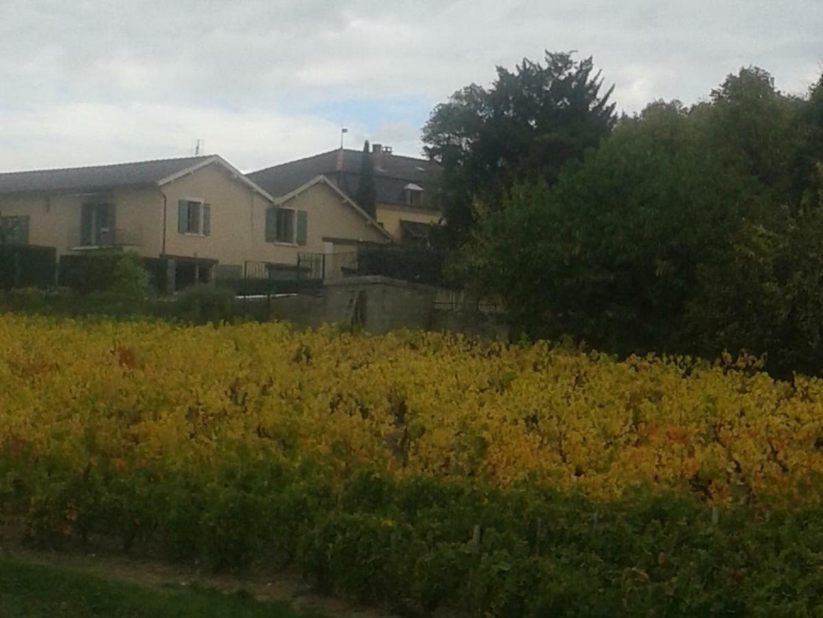 La Maison Des Vignes Charentay エクステリア 写真