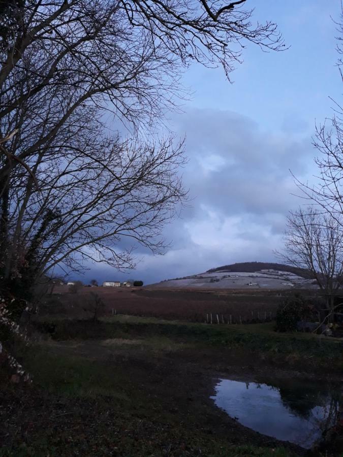 La Maison Des Vignes Charentay エクステリア 写真