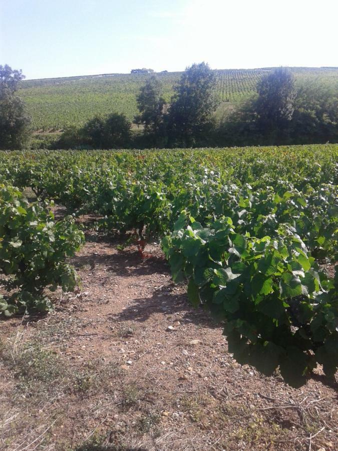 La Maison Des Vignes Charentay エクステリア 写真