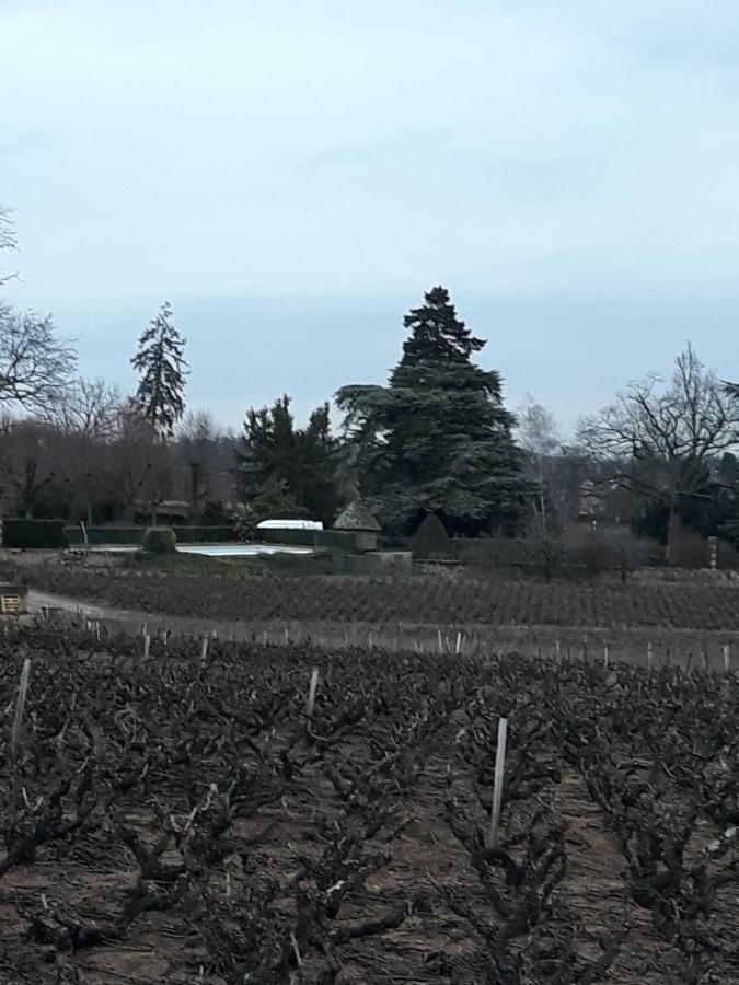 La Maison Des Vignes Charentay エクステリア 写真