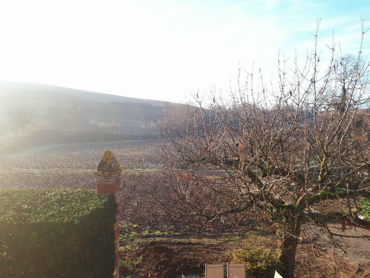 La Maison Des Vignes Charentay エクステリア 写真