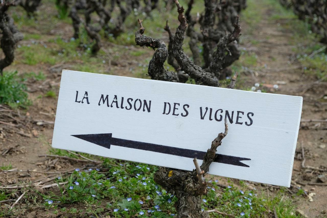 La Maison Des Vignes Charentay エクステリア 写真